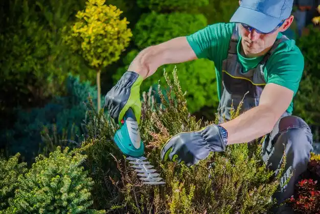 landscaping services Monument Beach